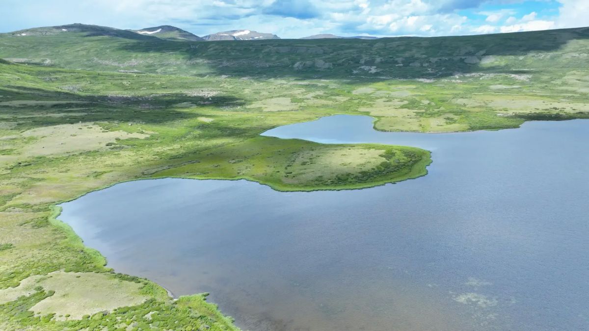 В самую высокогорную часть Алтайского заповедника пришло лето В самую высокогорную часть Алтайского заповедника пришло лето