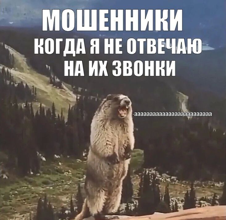 Телефонные мошенники позвонили жертве 16 тысяч раз за полгода