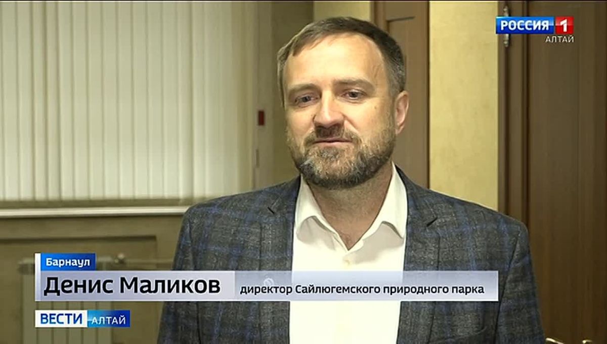 В Ключёвском районном суде огласили приговор трём иностранцам, пытавшимся переправить за границу соколов-балобанов