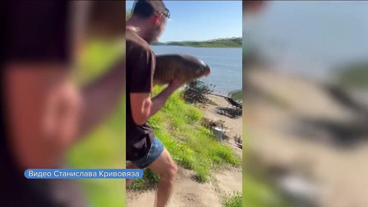 В Калманском районе выловили сазана весом 12 килограммов
