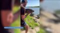 � ���������� ������ �������� ������ ����� 12 �����������