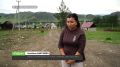Чистота и сила алтайской природы плюс немецкая педантичность