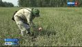 В Алтайском крае сотрудники Россельхознадзора ведут проверки с высоты птичьего полёта