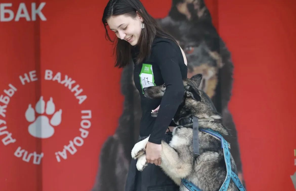 В барнауле прошел фестиваль беспородных собак «Кубок Барбоса» В барнауле прошел фестиваль беспородных собак «Кубок Барбоса»