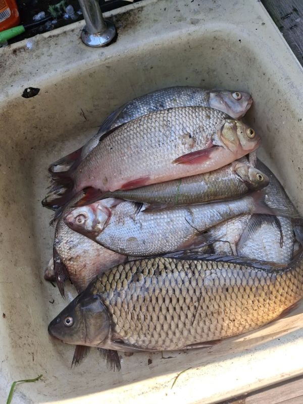 12 июля в России отмечают День рыбака 12 июля в России отмечают День рыбака