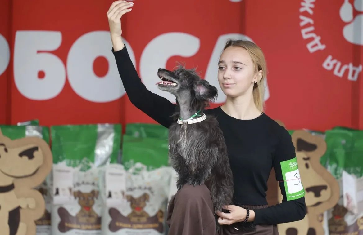 В барнауле прошел фестиваль беспородных собак «Кубок Барбоса» В барнауле прошел фестиваль беспородных собак «Кубок Барбоса»