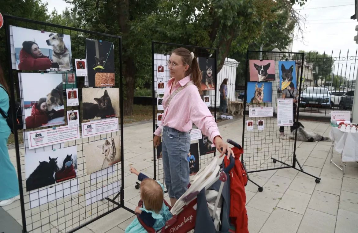 В барнауле прошел фестиваль беспородных собак «Кубок Барбоса» В барнауле прошел фестиваль беспородных собак «Кубок Барбоса»