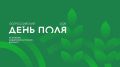 На Всероссийском дне поля в Алтайском крае покажут фильмы, научат ремеслам и познакомят с историей региона