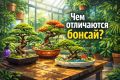 Разнообразие бонсай: Китай, Тайвань, Япония и Голландия