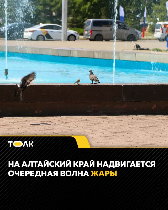 Готовимся к новом порции жары, которая накроет Алтайский край на этой неделе