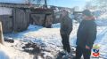 В Алтайском крае ужесточили наказание живодеру, искалечившему собак штыковой лопатой