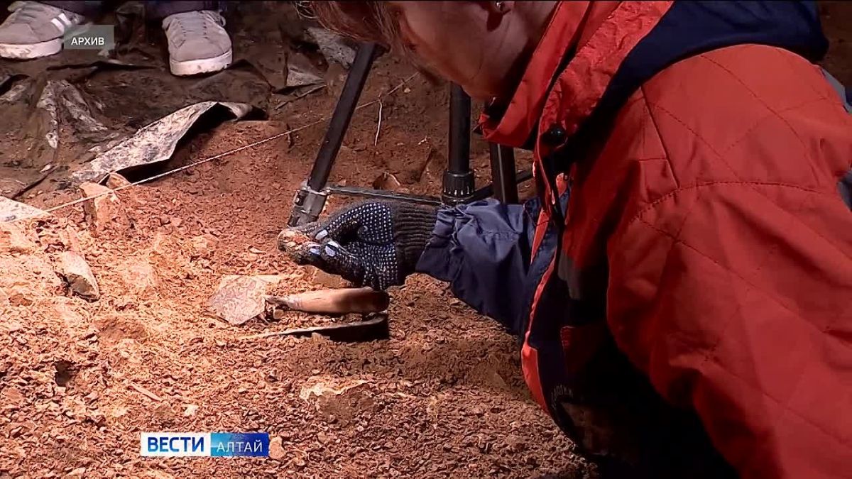 Археологи установили, что рацион обитателей Денисовой пещеры 300 000 лет назад состоял из мяса оленей и косуль