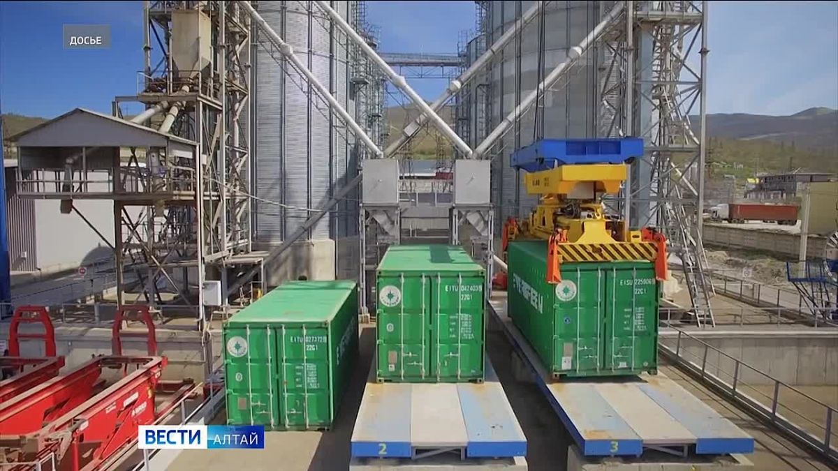 Погрузка на сети железных дорог в Алтайском крае за полугодие составила более 5 млн тонн