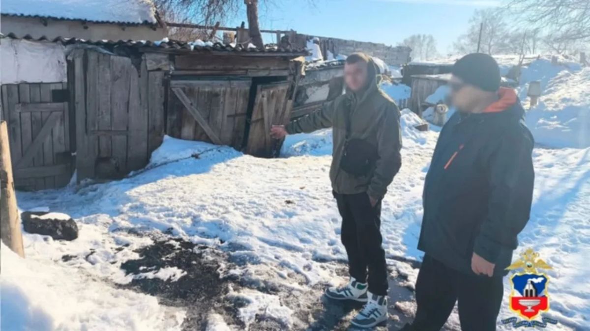 В Алтайском крае ужесточили наказание живодеру, искалечившему собак штыковой лопатой