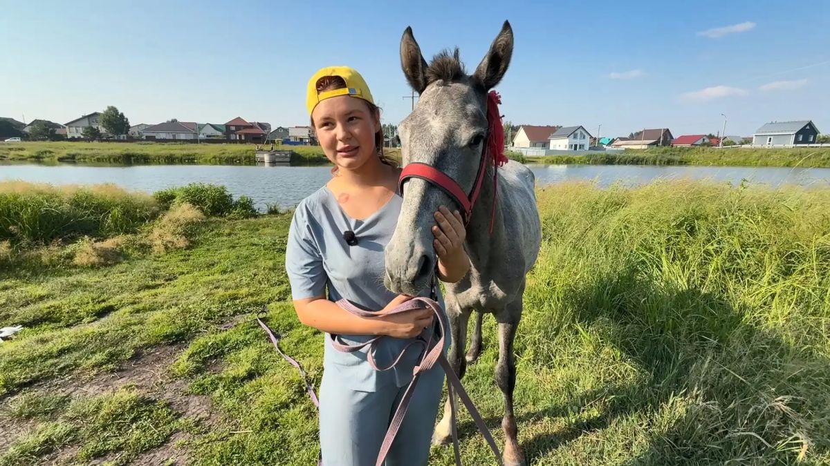 Лошади под мостом во Власихе: история спасения Азарии и Манюни Лошади под мостом во Власихе: история спасения Азарии и Манюни