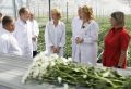 Министр сельского хозяйства РФ Оксана Лут прибыла в Алтайский край