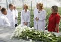 Министр сельского хозяйства России Оксана Лут прибыла в Алтайский край