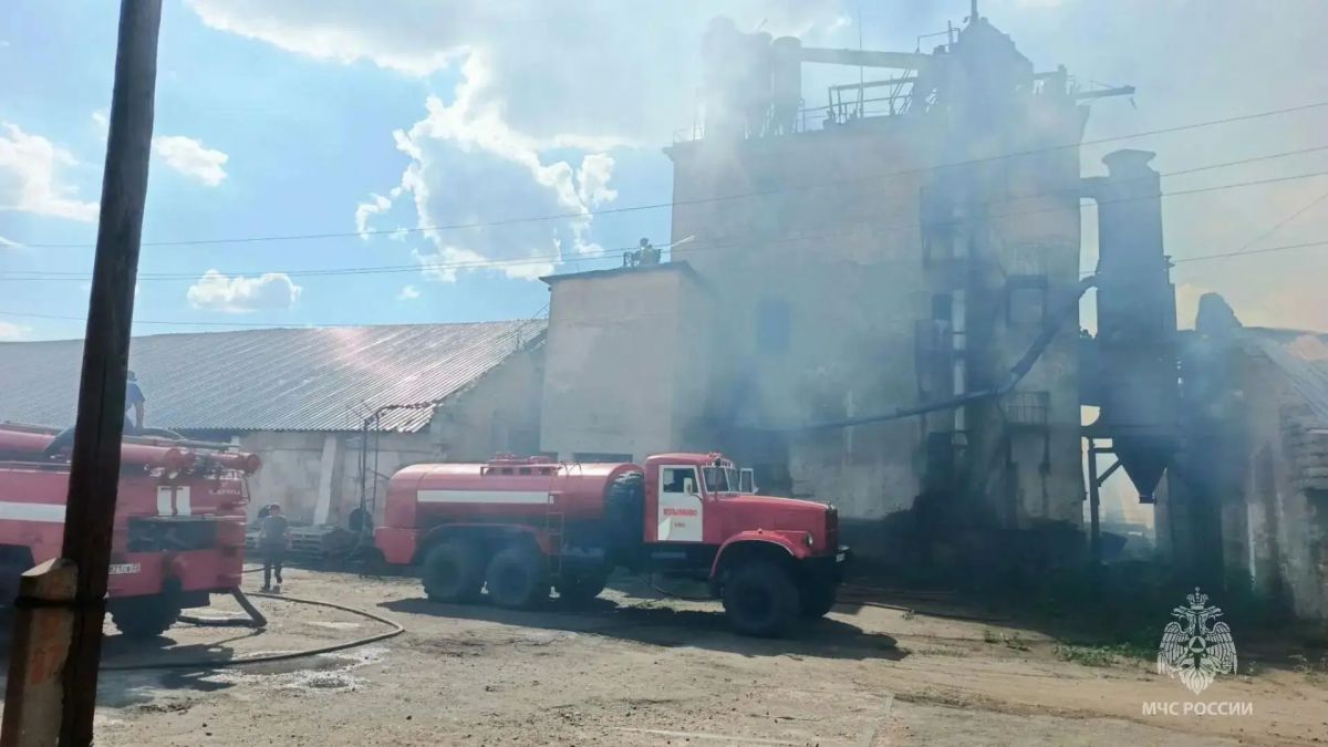 В одном из сел Алтайского края произошел серьезный пожар на сельхозпредприятии В одном из сел Алтайского края произошел серьезный пожар на сельхозпредприятии