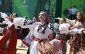 17 июля стало кульминационным днем важного агропромышленного события страны — "Всероссийского дня поля"
