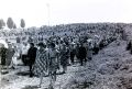 Легенда алтайской фотожурналистики Юрий Верещагин представит летопись Шукшинских чтений