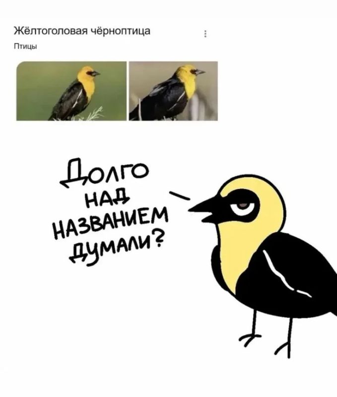 Доброе утро, Алтайский край!