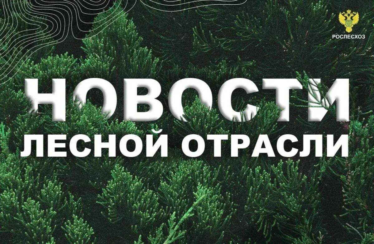 Царьград: Авиалесоохрана сообщила о тушении 11 лесных пожаров в Югре