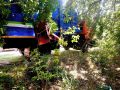 Несколько человек пострадало в ДТП с ПАЗиком в Новоалтайске