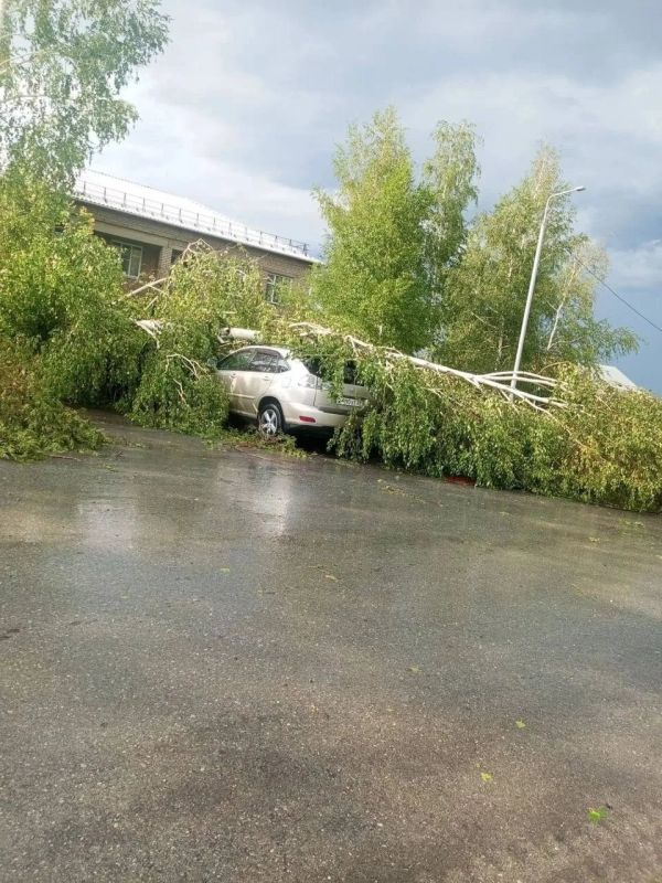 Ураган прошёл по Краснощёково Ураган прошёл по Краснощёково