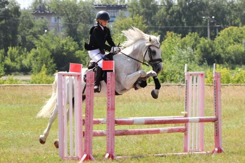 В Барнауле состоялись чемпионат и первенство края по конкуру В Барнауле состоялись чемпионат и первенство края по конкуру