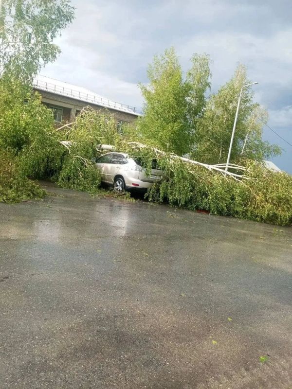Ураган прошёл по Краснощёково Ураган прошёл по Краснощёково
