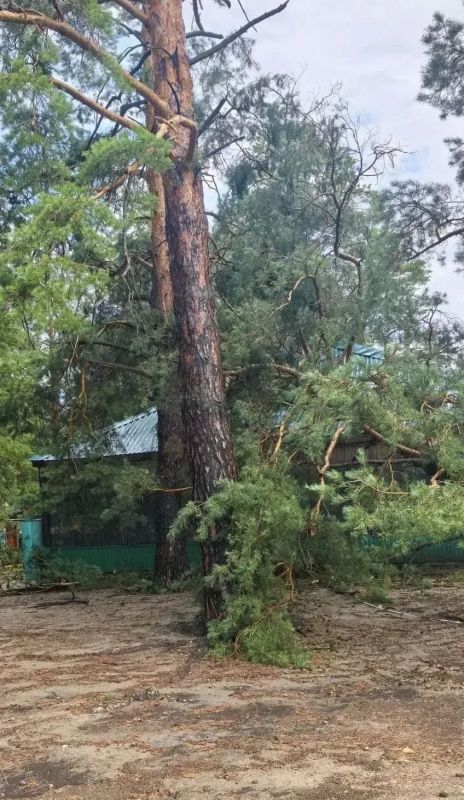 Детей из летнего лагеря эвакуировали из-за урагана в Рубцовске Детей из летнего лагеря эвакуировали из-за урагана в Рубцовске