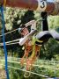 Подведены итоги чемпионата и первенства края по пешеходному туризму