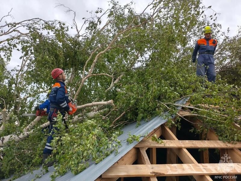 В Алтайском крае спасатели продолжают устранять последствия урагана В Алтайском крае спасатели продолжают устранять последствия урагана