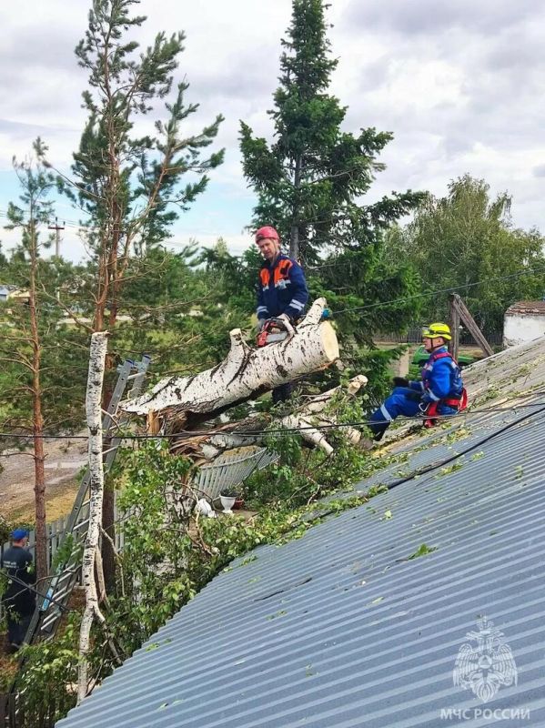 В Алтайском крае спасатели продолжают устранять последствия урагана В Алтайском крае спасатели продолжают устранять последствия урагана