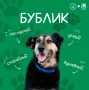 Дорогие подписчики!. Знакомьтесь — БУБЛИК! Ему около пяти лет, он очень любит людей