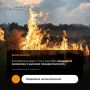 В Алтайском крае с 1 по 4 сентября местами сохранится высокая пожароопасность — четвёртый класс горимости