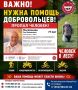 Пожилая женщина пропала в лесу в Алтайском крае