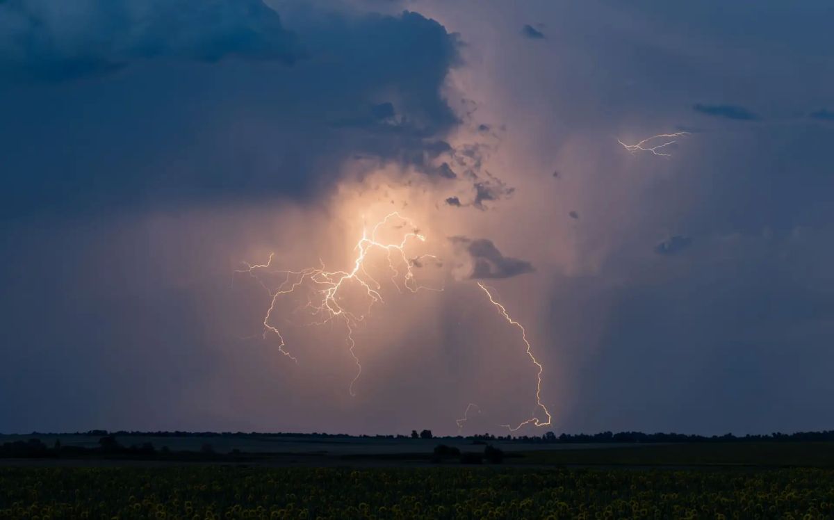 Фотограф из Рубцовска Евгений Храпко поделился невероятно красивыми фото августовской грозы — молнии и подсолнухи! Фотограф из Рубцовска Евгений Храпко поделился невероятно красивыми фото августовской грозы — молнии и подсолнухи!