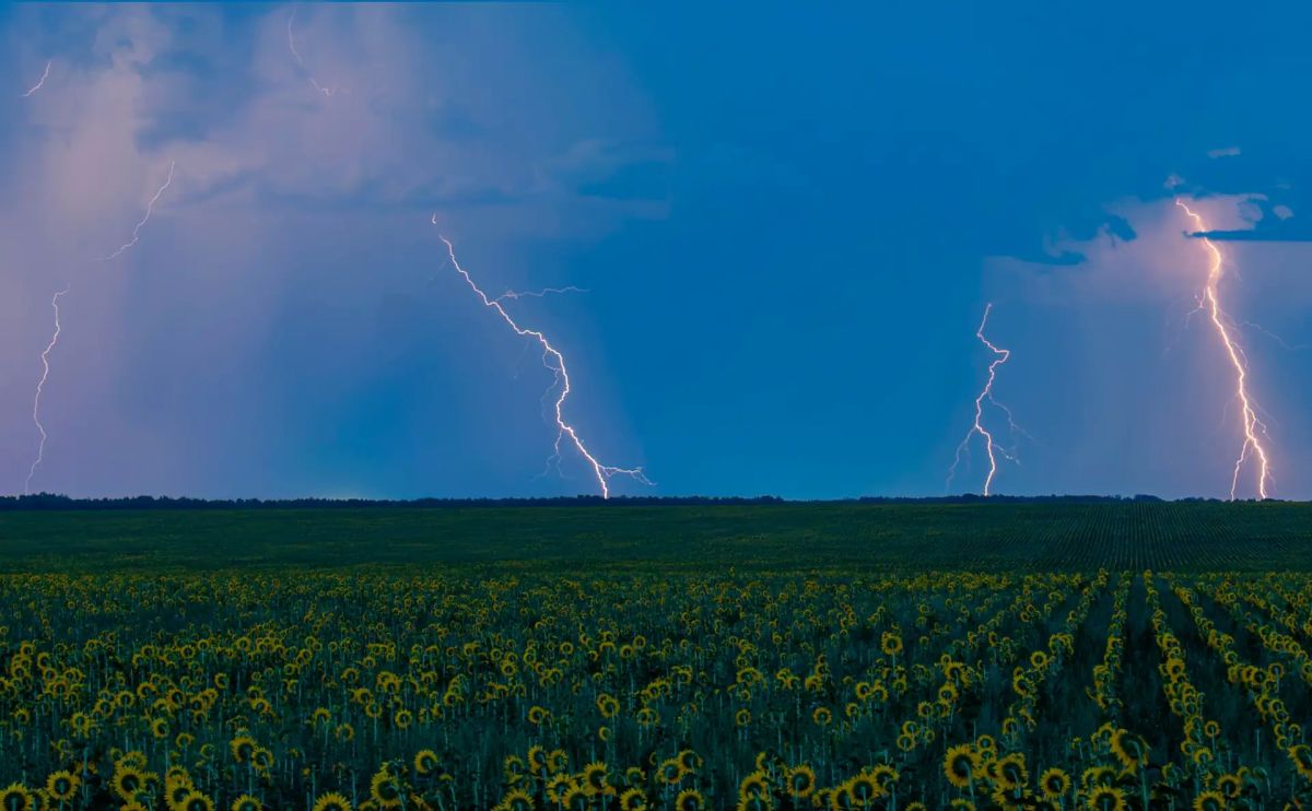 Фотограф из Рубцовска Евгений Храпко поделился невероятно красивыми фото августовской грозы — молнии и подсолнухи! Фотограф из Рубцовска Евгений Храпко поделился невероятно красивыми фото августовской грозы — молнии и подсолнухи!