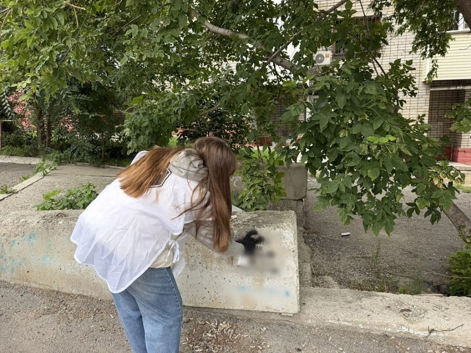 В Барнауле закрасили 20 надписей с рекламой наркотиков В Барнауле закрасили 20 надписей с рекламой наркотиков