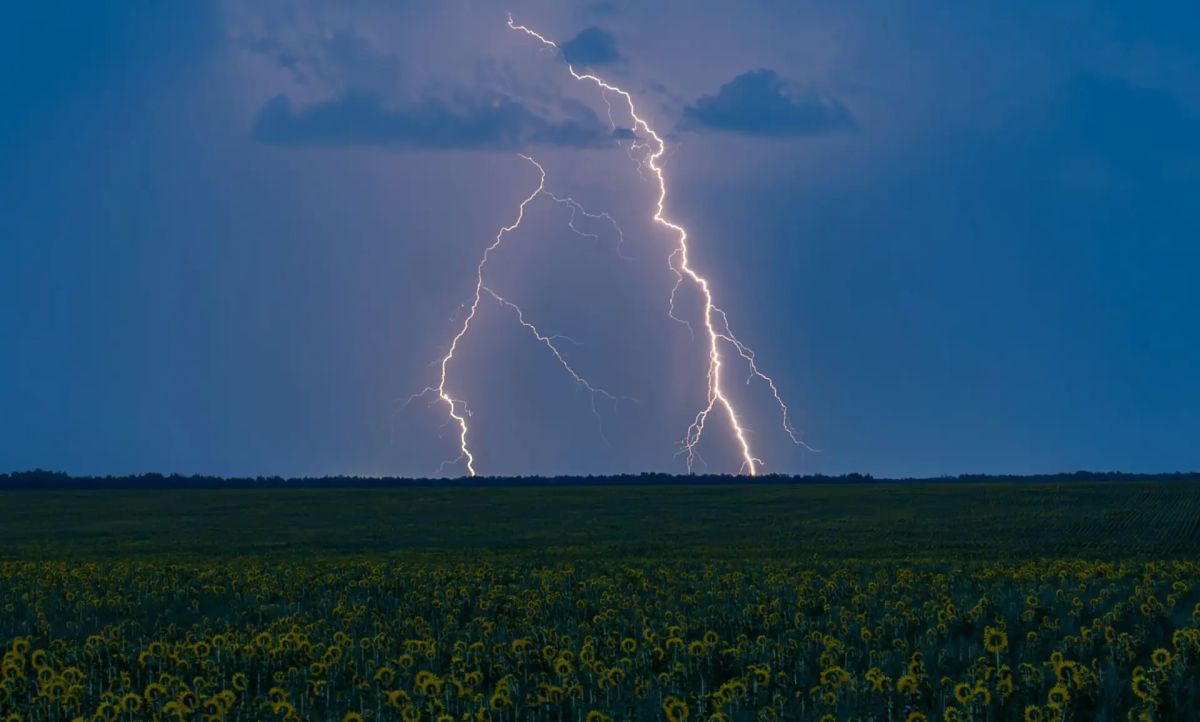 Фотограф из Рубцовска Евгений Храпко поделился невероятно красивыми фото августовской грозы — молнии и подсолнухи! Фотограф из Рубцовска Евгений Храпко поделился невероятно красивыми фото августовской грозы — молнии и подсолнухи!