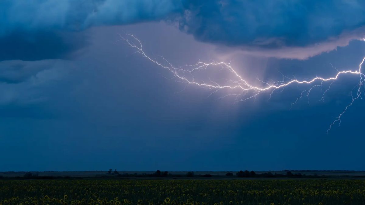 Фотограф из Рубцовска Евгений Храпко поделился невероятно красивыми фото августовской грозы — молнии и подсолнухи! Фотограф из Рубцовска Евгений Храпко поделился невероятно красивыми фото августовской грозы — молнии и подсолнухи!