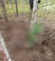 Тела двух женщин со следами нападения медведя нашли в лесу в Красноярском крае