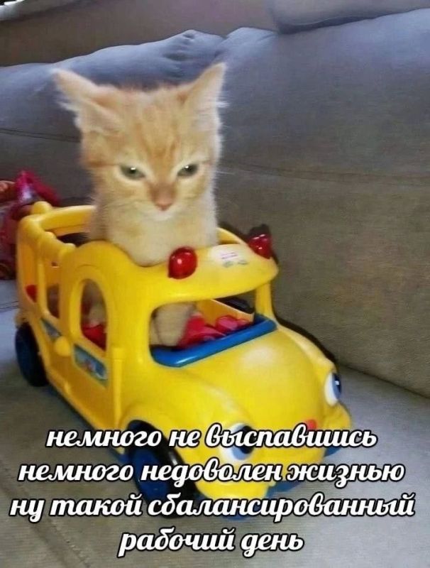 Сотрудники, которые скидывают мемы в общие чаты, работают хуже всех Сотрудники, которые скидывают мемы в общие чаты, работают хуже всех