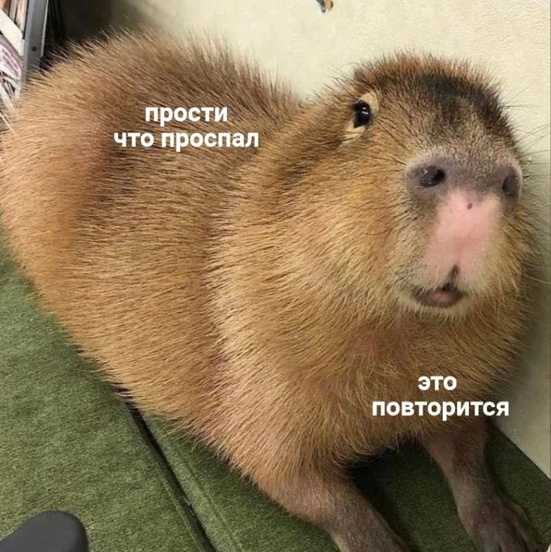 Сотрудники, которые скидывают мемы в общие чаты, работают хуже всех Сотрудники, которые скидывают мемы в общие чаты, работают хуже всех