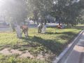 В Рубцовске продолжаются работы по содержанию улично-дорожной сети