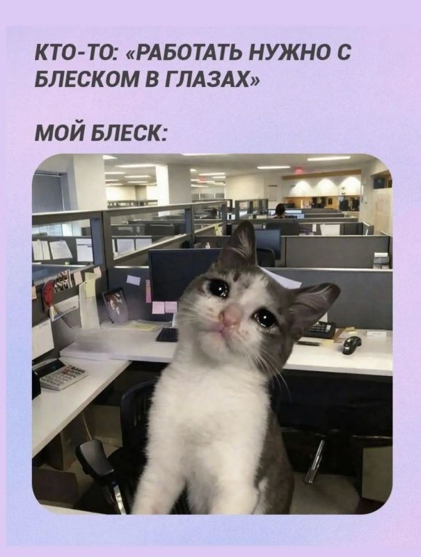 Сотрудники, которые скидывают мемы в общие чаты, работают хуже всех Сотрудники, которые скидывают мемы в общие чаты, работают хуже всех