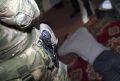 Не вдовы, а охотницы за деньгами: В Алтайском крае задержали брачных аферистов, наживавшихся на бойцах СВО