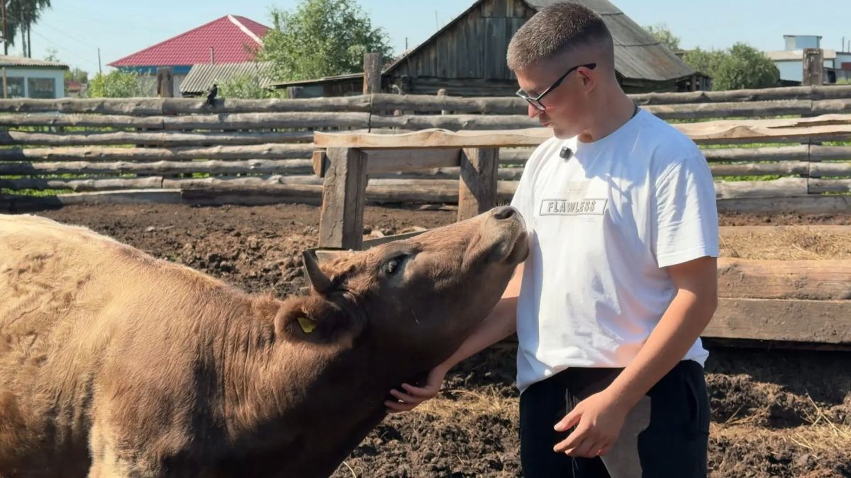 Школьник из Ребрихинского района развивает пасеку и осваивает столярное дело Школьник из Ребрихинского района развивает пасеку и осваивает столярное дело