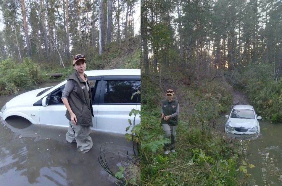 Бобры не дали супругам уехать из леса под Барнаулом